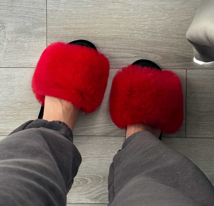 Open School Day with Family Workshops